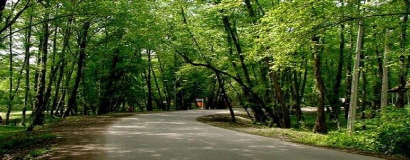 پارک جنگلی چیتگر یکی از معروف ترین پارک های منطقه 22